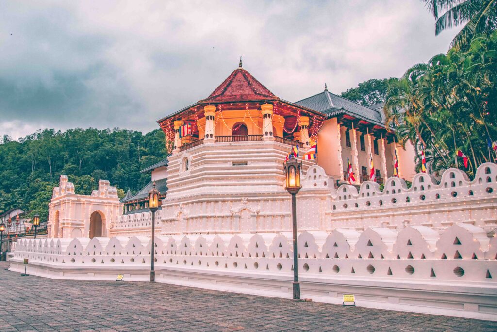 chathura anuradha subasinghe 40uqme9zq8g unsplash 1024x683